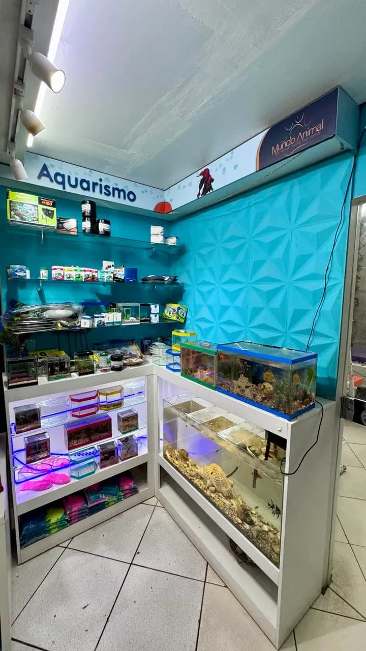 Área de aquarismo com aquários e acessórios